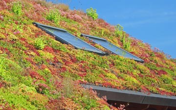 Coton Clanford living roof systems