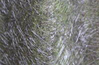 Coton Clanford fibreglass roof work